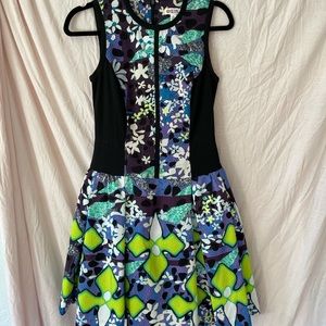 Peter pilotto for Target 4 dress